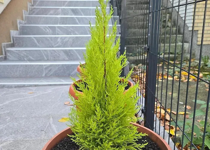 The Hideaway Apartman *